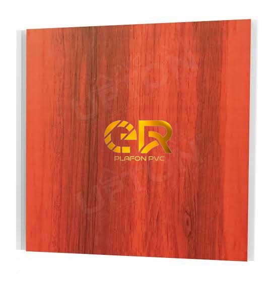 ER plafon pvc15